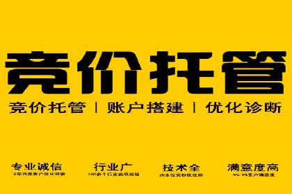 SEM竞价案例教学，实战技巧大公开